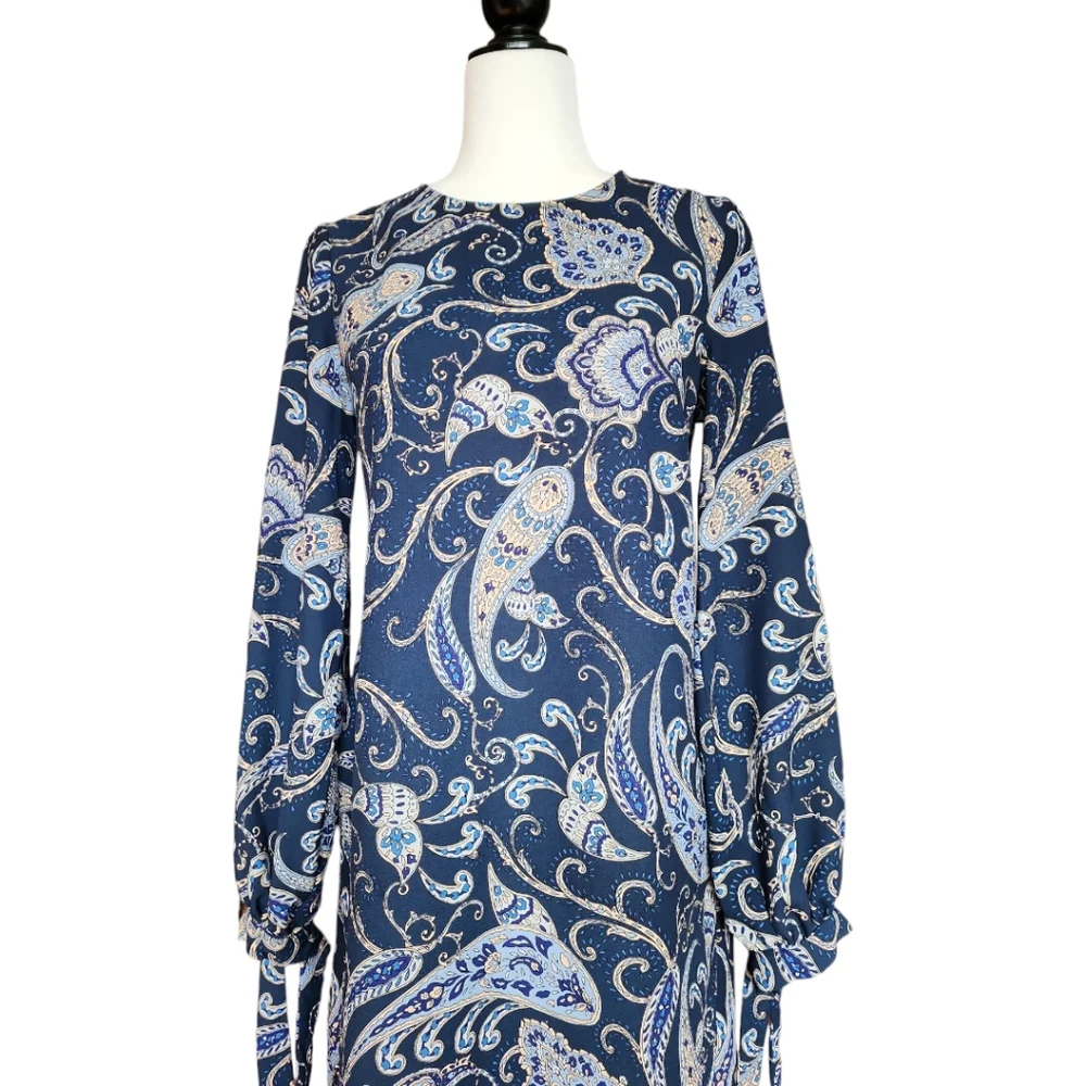 ZARA Long Balloon Sleeves Dress - Picture 5 of 11
